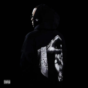 中国老奶奶老太
